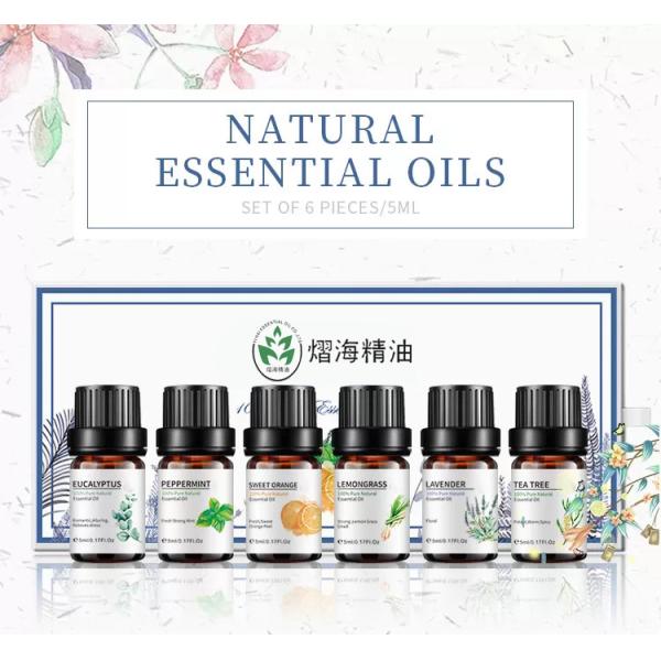Quality 100% Pure Natural OEM Essential Oil Organic Geranium Essential Oil 10ml wholesale