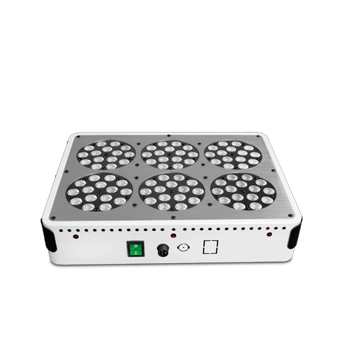 greenhouse application hydroponic grow systems led lights cidly full spectrum apollo 6 led grow light 200w