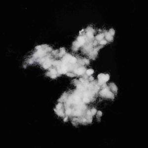 Recycled Conjugated Polyester Fiber 32mm Pure White Hollow Conjugated PSF