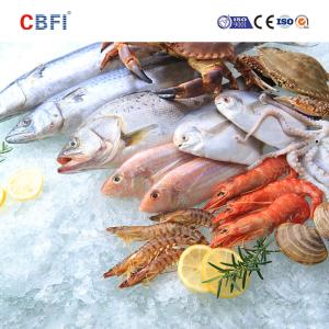 Automatic Electric Tunnel Fast Food IQF Blast Freezer Meat Fish Quick Freezing