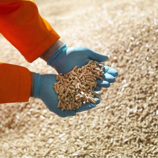 Animal Poultry Fish Feed Processing Machine Wood Pellet Mill Making Machine