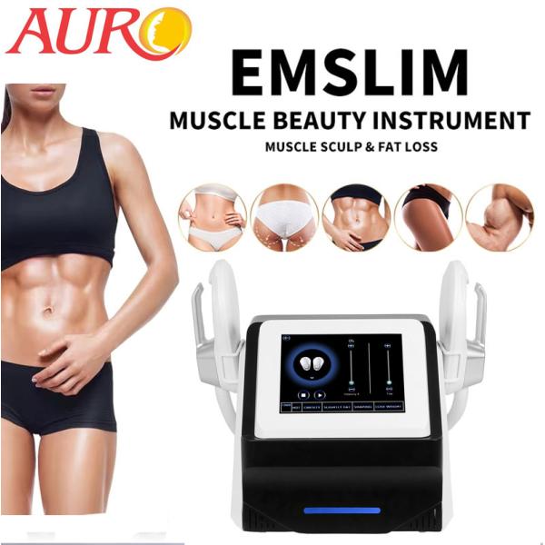 Quality Butt Lift Spa EMS Sculpting Machine 2 Handle Electric Muscle Stimulation Machine wholesale