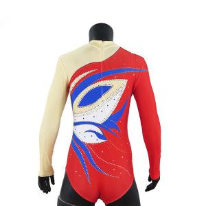 China Stretchable Long Sleeve Gymnastics Training Leotards , Girls Gymnastics Leotards on sale
