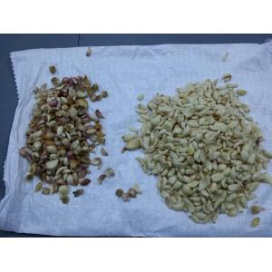 Garlic Clove Sorting Machine Garlic Color Sorter for Food Processing