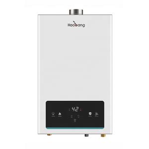 China 12L Instant Flue Gas Water Heater with Touch Panel Control Free Spare Parts and Coating Panel on sale