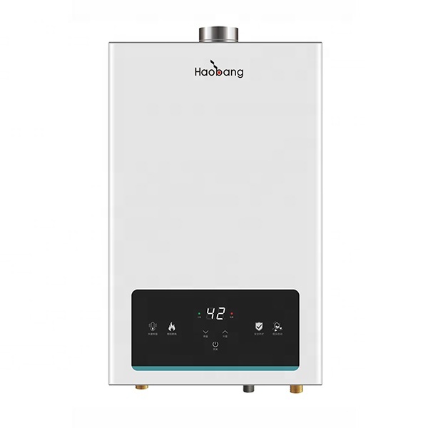 12L Instant Flue Gas Water Heater with Touch Panel Control Free Spare Parts and