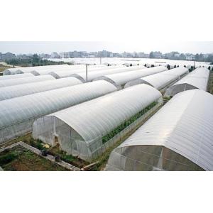 China Tunnel Polyethylene Film Greenhouse / Plastic Shed Simple Galvanized Steel Frame on sale