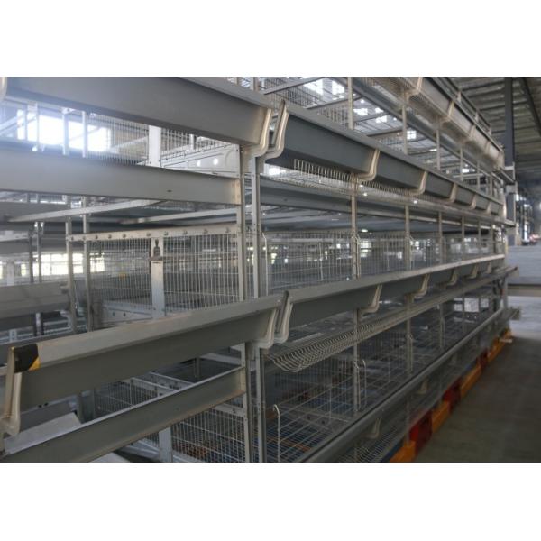 High Efficiency H Type Poultry Cage Low Carbon Steel Wire Material Easy