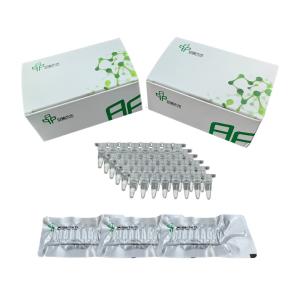 Buy cheap Easy Operate Stable Isothermal Amplification Kit No Expensive PCR Apparatus from wholesalers