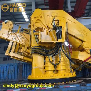 China Foldable Jib Dock Offshore Crane Sales Marine Ship Deck Crane on sale