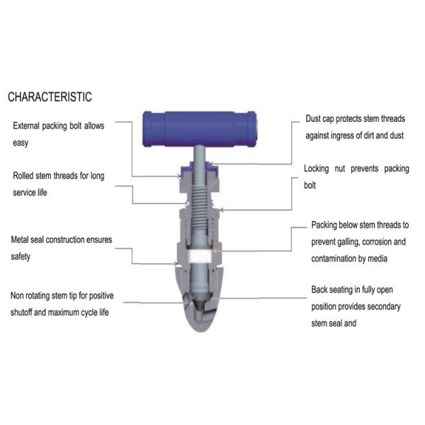 6000psi SS304 Double Ferrule High Pressure Needle Valve 1/4" NPT