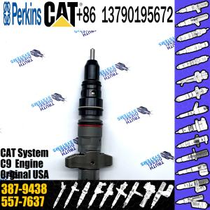 Common rail fuel injector 3879438 387-9438 Cat diesel fuel injector for C7 C9