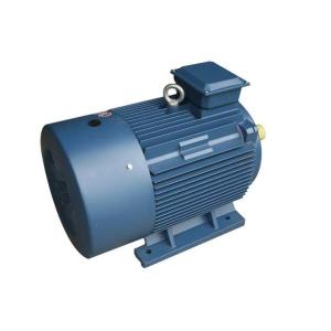 YE3 Series Electric Motor / Three Phase Induction Motor With Cast Iron Frame