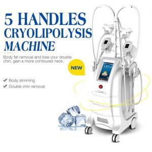 Cheap 5 Handles Cryolipolysis Fat Freezing Machine Body Sculpting Machine For Fat Reduction for sale