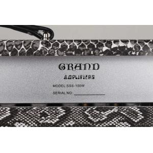 Custom SSS Steel String Singer Tone Deluxe Handwired Guitar Amp Head 100W with