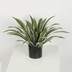 36 CM 40 CM 60 CM Artificial Agave Americana