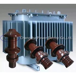 DIN Standard 10000V 10NF250 Transformer Porcelain Bushing OEM available
