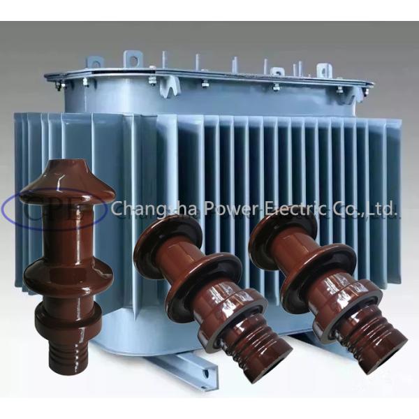 Quality DIN Standard 10000V 10NF250 Transformer Porcelain Bushing OEM available wholesale