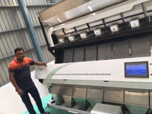 Basmatic Rice Sorting Machine