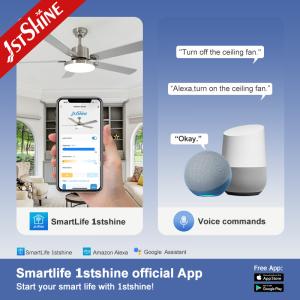 58 Inch Bedroom Ceiling Fans With Lights Reversible Silent DC Motor