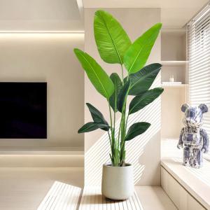 Multiple sizes Tall Bird of Paradise Artificial Tree with Large Trunks and