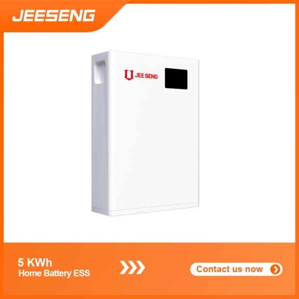 5KWh Home Wall-Mounted Energy Storage System with Advanced BMS Technology For