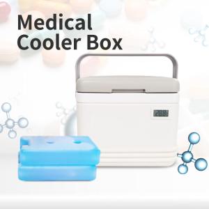 China Cold Chain Ice Chest Cooler Box 5 Liter Cool Box For Insulin on sale