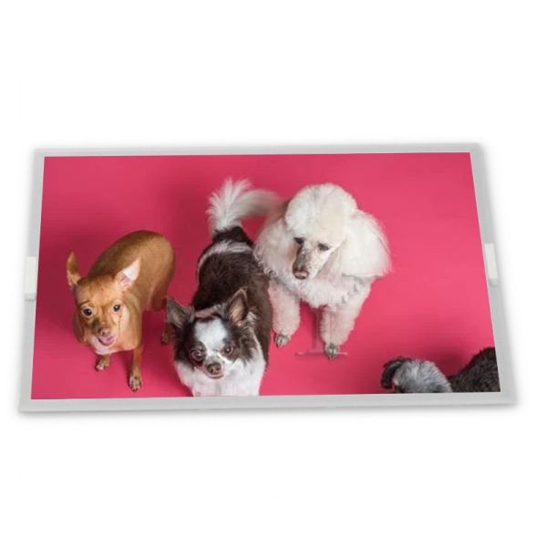 Custom ODM 12.3-Inch TX31D38VM2BAA LCD Display Module with 1280*480 Resolution