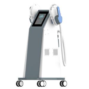 Double Head Electrotherapy Weight Loss Machines Firm Abs Weight Loss