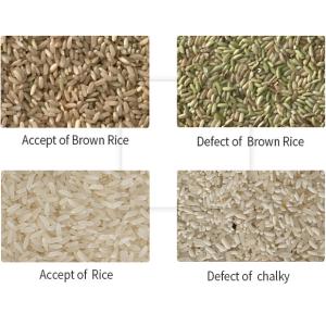 WENYAO 8 Chutes Directly Rice Sorting Machines Color Sorter For Rice Mill