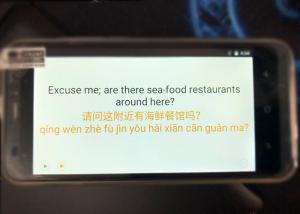 Cheap Simultaneous Offline Language Translator Black Color With Grammar Correction for sale