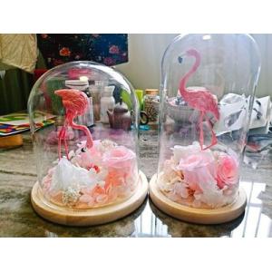 glass display dome with base doll domes different size available