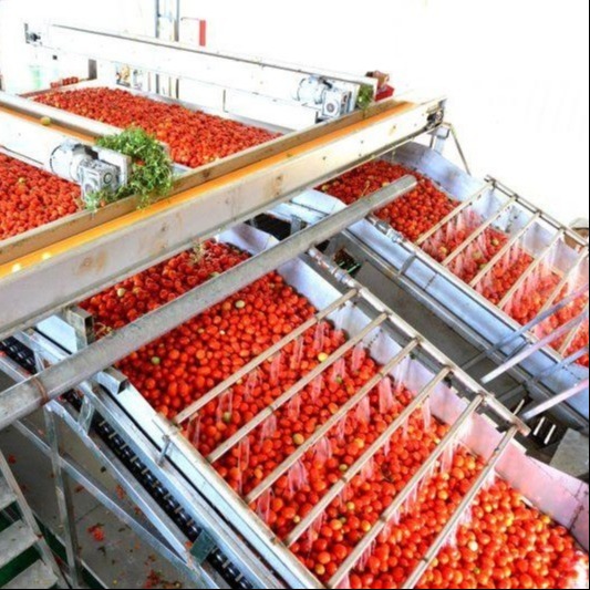 Quality Multifunctional Canning Production Line For Tinned Tomatoes From Leadworld Industrial wholesale
