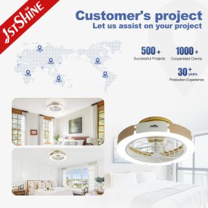 110-240V/50Hz-60Hz Input Voltage Bedroom Indoor Ceiling Fan Light with Remote