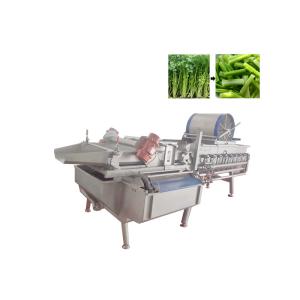 Industrial Automatic Vortex Fruit Vegetable Washing Machine 1000KG/H