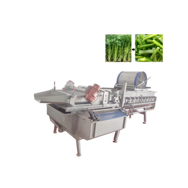Green Leaf Vegetable Washing Machine Lettuce Cabbage Salad Commercial Vegetable