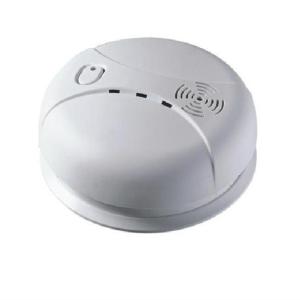 EN 50291 Carbon Monoxide Alarm Detector