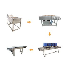 Vegetable Washing And Cutting Machine Walnut And Nuts Bubble Cleaning Machine