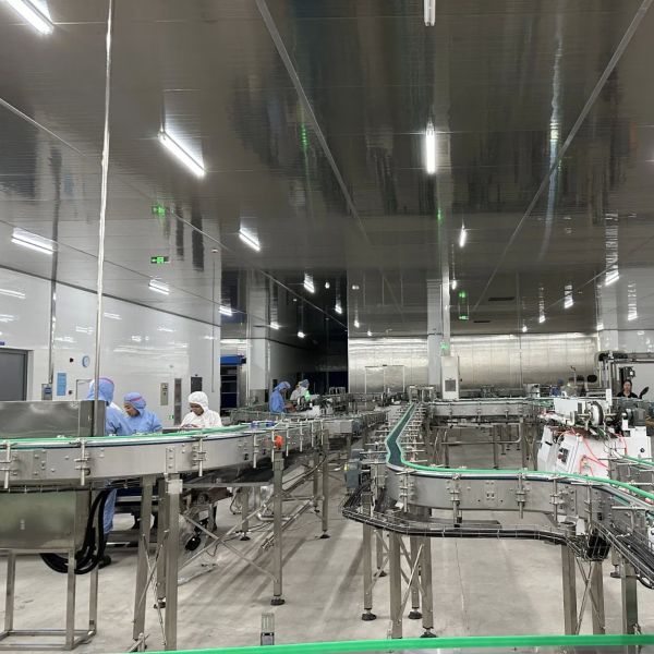 Automatic Wet Pet Food Production Line with 500-30000kg/H Capacity and 80-320