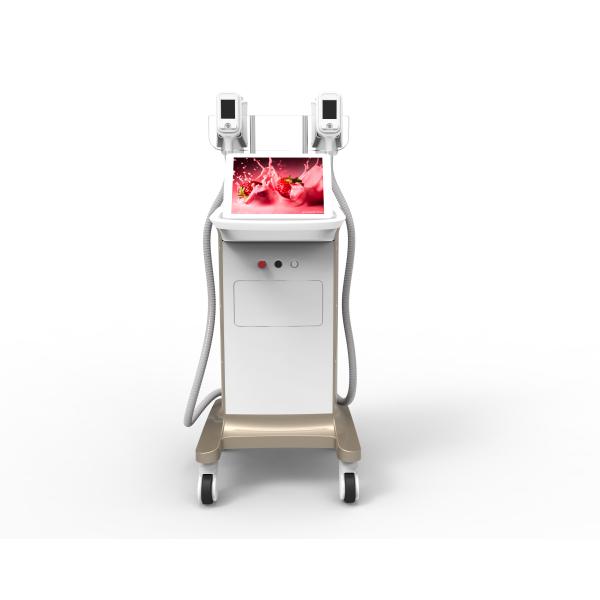 Quality New arrival 2 handles coolsculption fat freezing machine cryolipolysis weight loss cryotherapy 2 handles big discounting wholesale