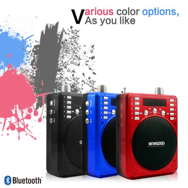 Quality 2018 new fashionable Portable Bluetooth Recorder Speaker with FM radio blue black red available wholesale