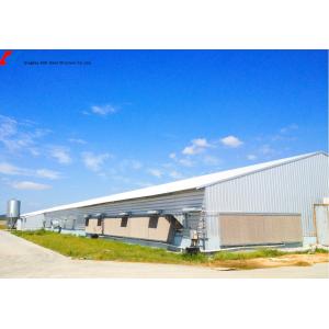 China Steel Structure Poultry House for Chicken Farming - Custom Sizes Available on sale