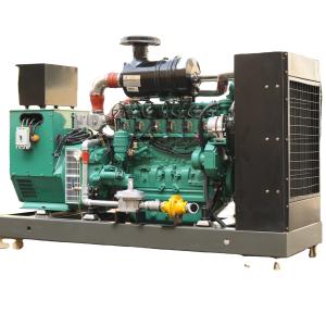 Natural Gas CHP Silent Generator 100KW for Biogas Power Plant IP23 Protection