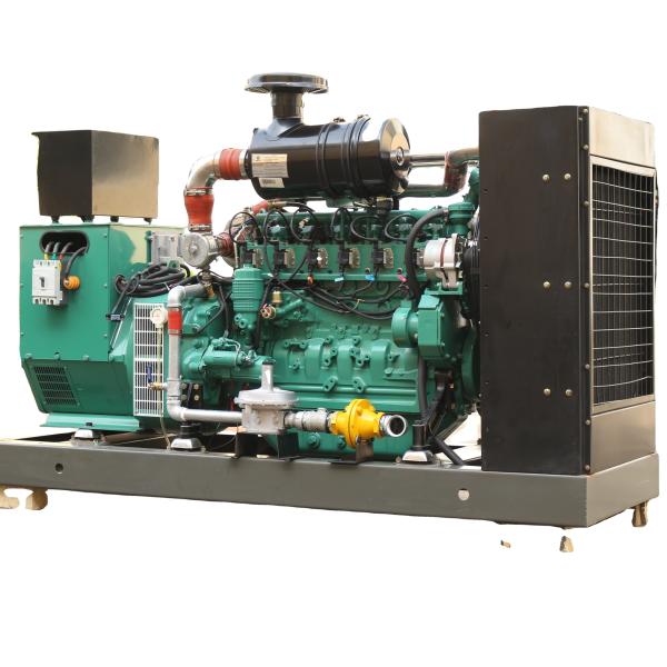 Natural Gas CHP Silent Generator 100KW for Biogas Power Plant IP23 Protection