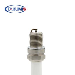 Engine Spare Part Replacement For Champion RB75WPCC