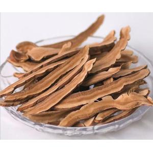 Hot sell reishi mushroom extract ganoderma lucidum extract reishi extract