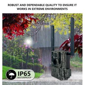 4G Wireless Trail Camera Hidden Camouflage KW897 with Dual Antennas Night Vision