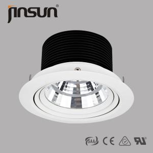 40W 0-10V Dimmable Meanwell Driver High Power CITIZEN Chip LED Downlight www