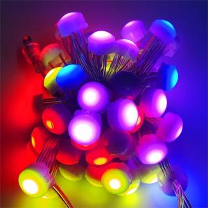 Permanent Christmas Pixel Point Led Light For Amusement Park