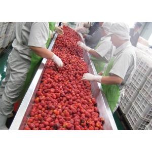 380V Berry Fruit Jam Processing Machinery 20T/H ISO9001 Certificate